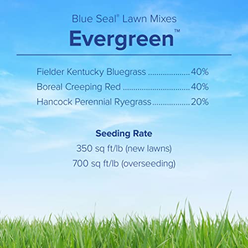Evergreen Grass Seed - Sun and Shade Mix, Fine-Textured Lawn, 25 lb Bag L2669