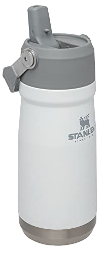 Insulated Stainless Steel Water Bottle with Straw, 16-50 oz N9528