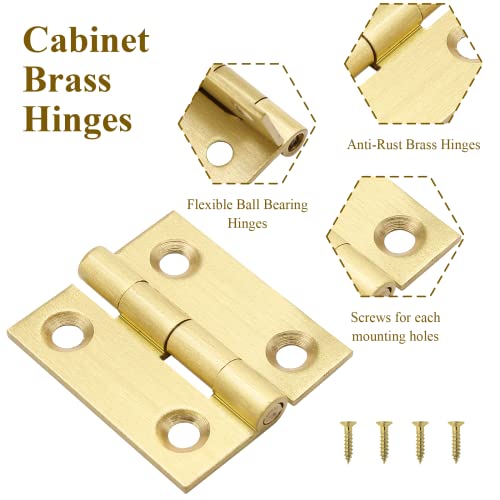 Brass Hinges M727