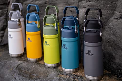 Insulated Stainless Steel Water Bottle with Straw, 16-50 oz N9528