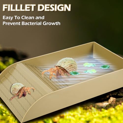 Reptile Water Bowl with Ramp and Basking Platform for Turtles, Lizards H549986