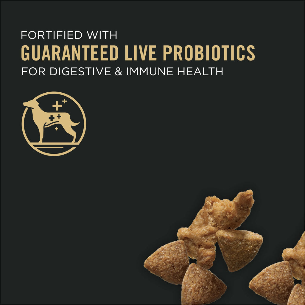 Shredded Turkey & Rice High Protein Dog Food with Probiotics, 33 lb. Bag W5995