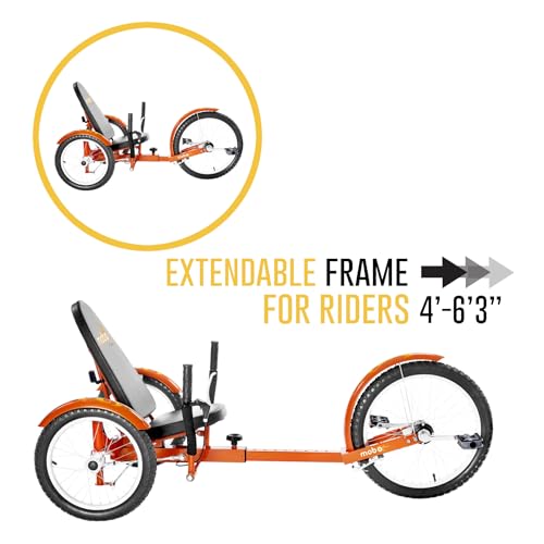 Adult Tricycle for Men and Women, 3-Wheel Pedal Bike T925