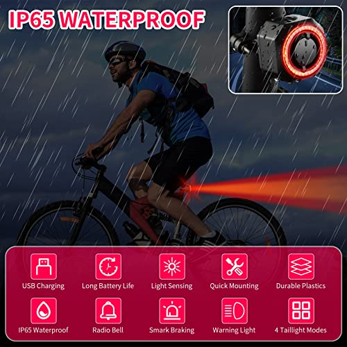 Bike Tail Light with Alarm, Rechargeable, Auto On/Off L2731