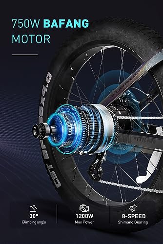 Electric Bike for Adults Fat Tire 750W 20AH Removable Battery 26 Inch Full Suspension E92138