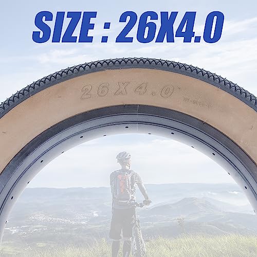 Fat Tire for Ebike Mountain Bike 20 x 4 Inch J2394