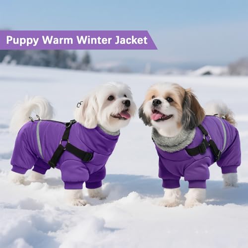 Black Dog Winter Coat with Harness, Reflective Waterproof Jacket for Small Dogs O43201