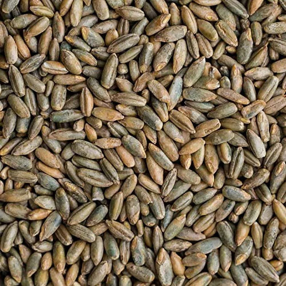 25 Pounds Signature Rye Berries - High In Fiber And Iron - 25 LB Bag Of Rye Berries