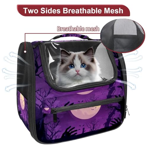 Halloween Pet Carrier Airline Approved for Small Medium Dogs Cats S688252