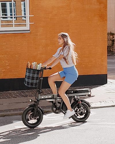 14" Folding Electric Bike for Adults, 600W Motor, 48V 10Ah Battery C383439