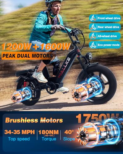 Electric Bike for Adults, 48V 40Ah Dual Motor, 20 Inch Fat Tire Full Suspension, Step Thru O992216