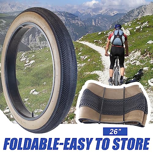 Fat Tire for Ebike Mountain Bike 20 x 4 Inch J2394