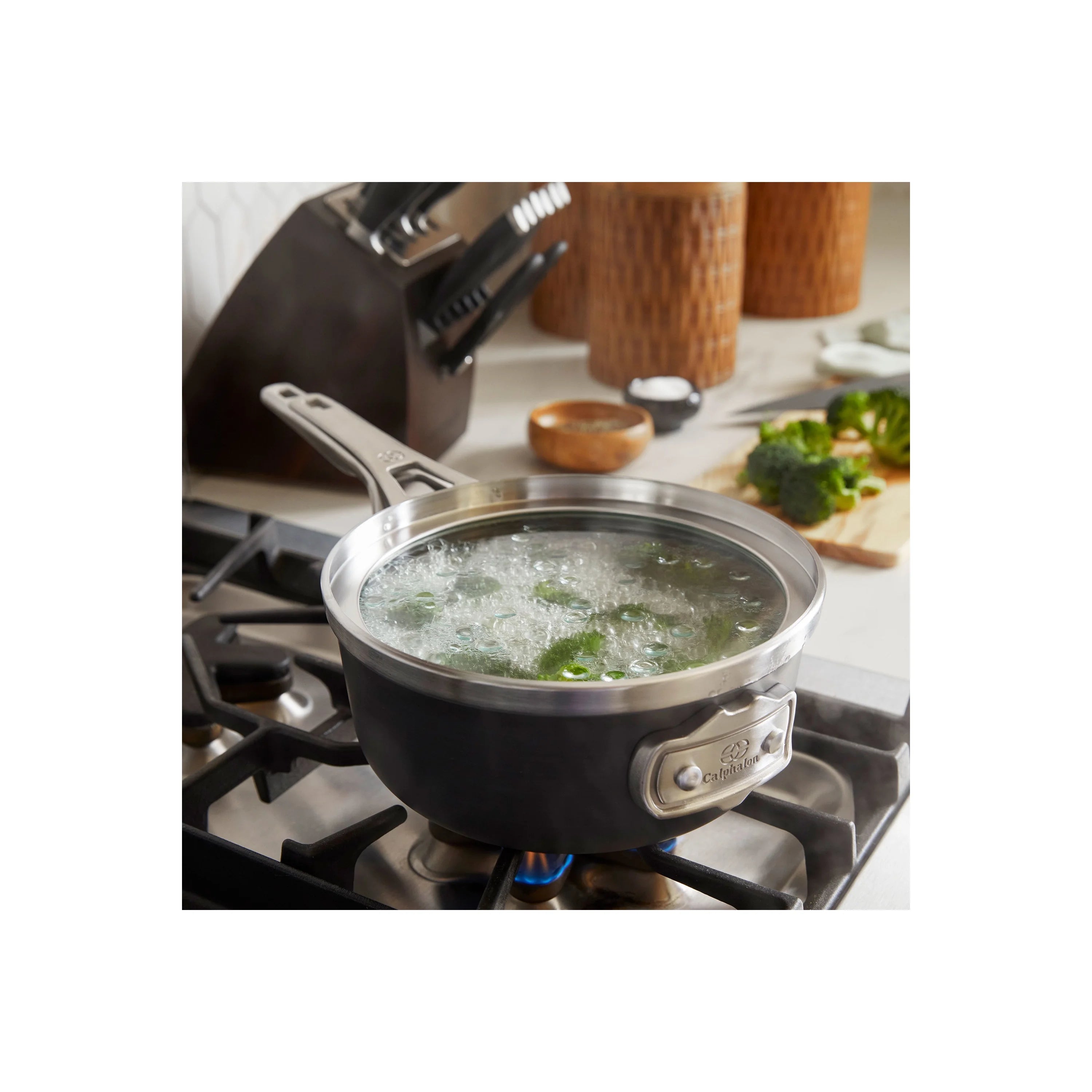 12-Quart Nonstick Stock Pot with Lid U1898