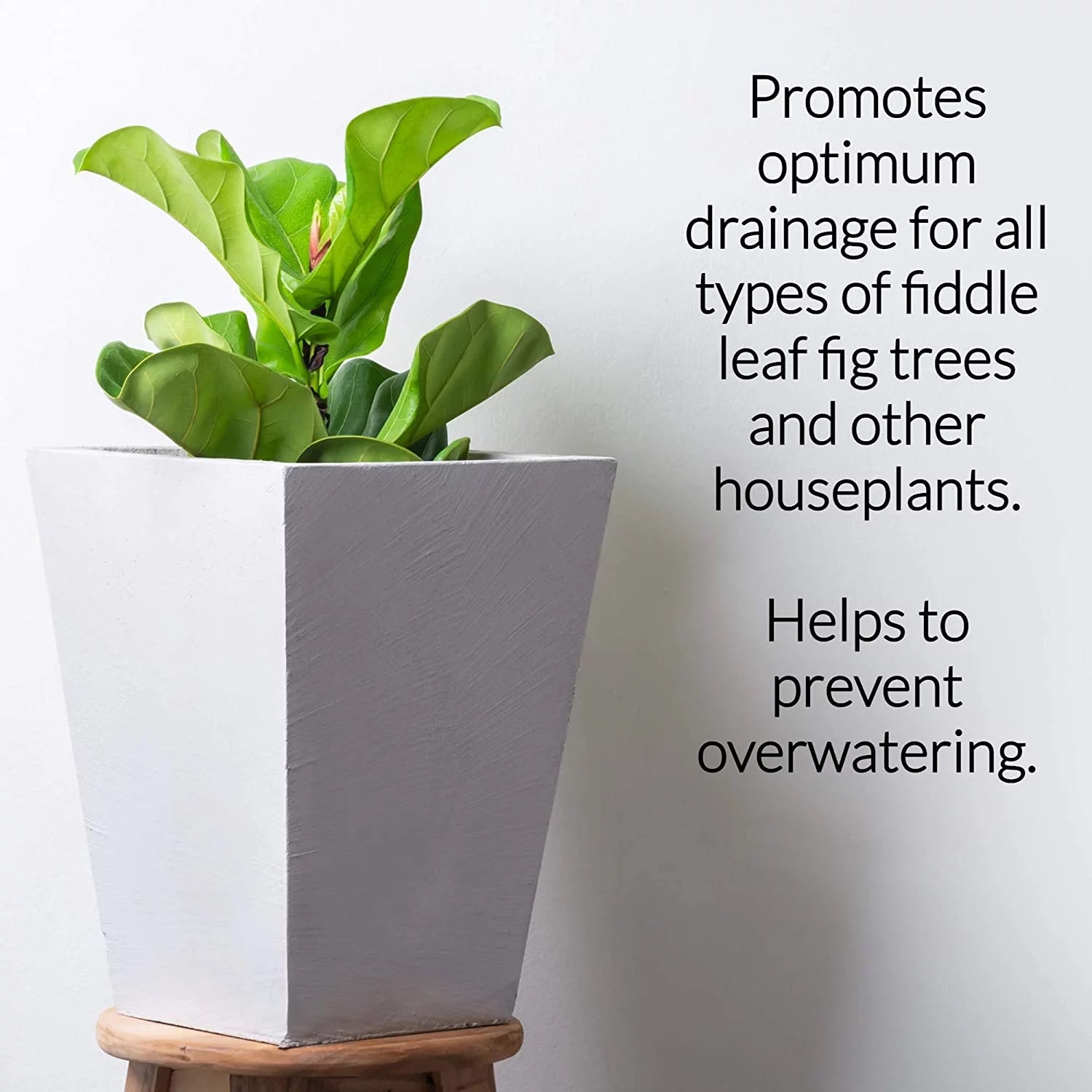 Indoor Potting Mix for Houseplants, 2.2 qt Y615718