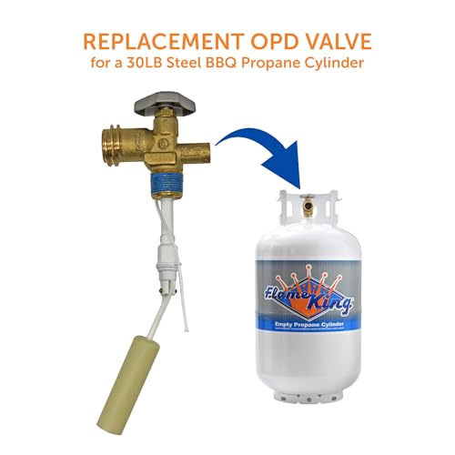 30-Pound Propane Tank Cylinder with OPD Valve A79817