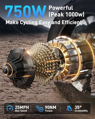 Electric Bike for Adults, 1000W Motor, 48V 20Ah Battery, 20" Fat Tire, Full Suspension U54489