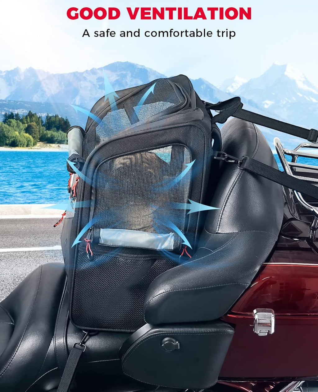 Motorcycle Pet Carrier Bag, Portable Folding Cat Dog Carrier, 20lbs Capacity Z2273