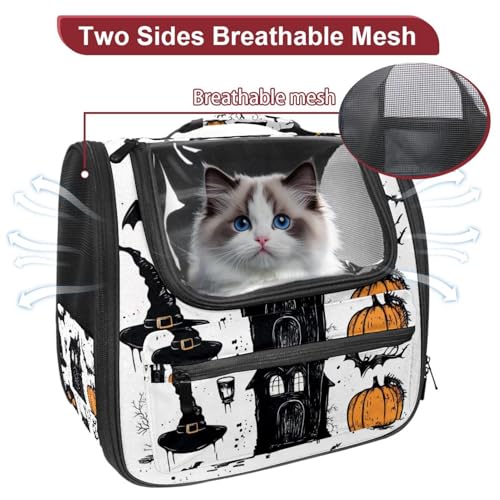 Halloween Pet Carrier Airline Approved for Small Medium Dogs Cats S688252