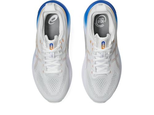 Men's Gel-Kayano 31 Running Shoes L3375