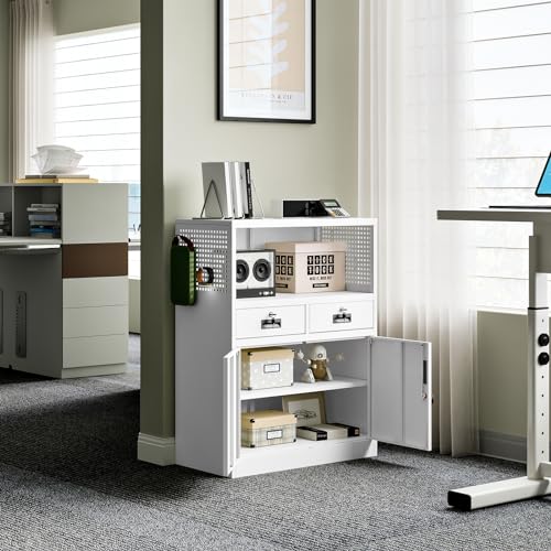 Locking Cabinet with 2 Drawers, Metal Storage Cabinet with Locking Doors and Shelves J89434