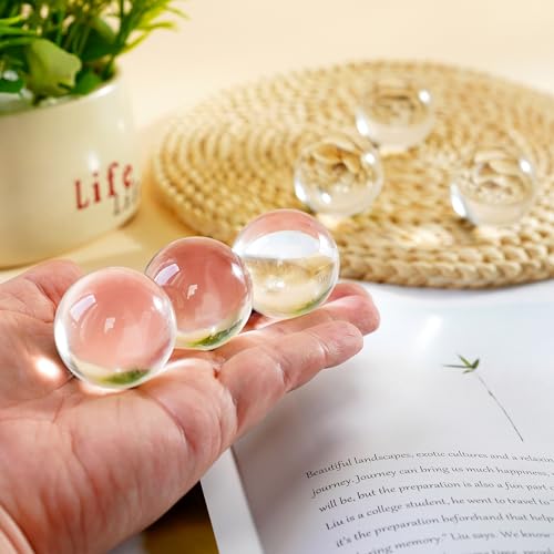 40mm Ice Cracked Crystal Chakra Balls with LED Wooden Base Night Light N984594
