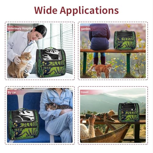 Halloween Pet Carrier Airline Approved for Small Medium Dogs Cats S688252