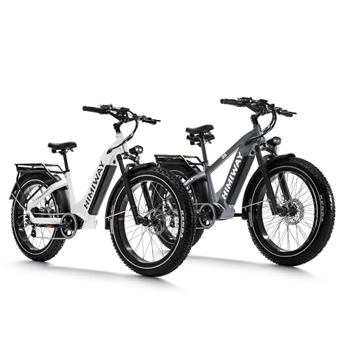 Himiway Zebra D5 Electric Bike, 750W Motor 48V 20Ah Removable Battery 80Miles Range E-Bike for Adults, 26x4 Tire 400lbs Payload, Hydraulic Brakes, 25Mph, 7-Speed