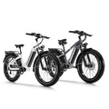 Himiway Zebra D5 Electric Bike, 750W Motor 48V 20Ah Removable Battery 80Miles Range E-Bike for Adults, 26x4 Tire 400lbs Payload, Hydraulic Brakes, 25Mph, 7-Speed