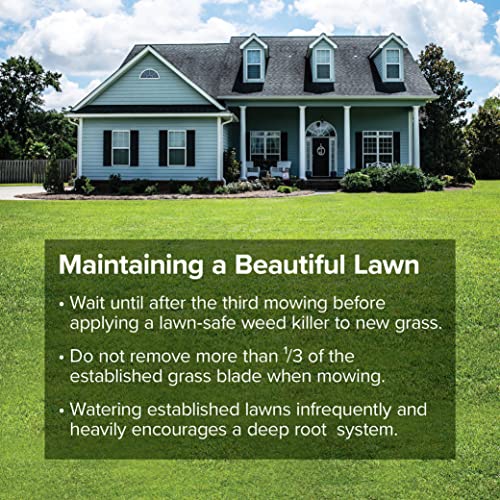 Evergreen Grass Seed - Sun and Shade Mix, Fine-Textured Lawn, 25 lb Bag L2669