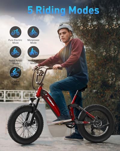 Electric Bike for Adults, 1000W Motor, 48V 20Ah Battery, 20" Fat Tire, Full Suspension U54489