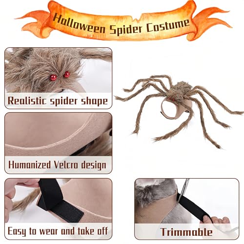 Halloween Spider Pet Costume for Cats & Dogs, Adjustable Velcro Harness, Black & Purple, Medium V62211