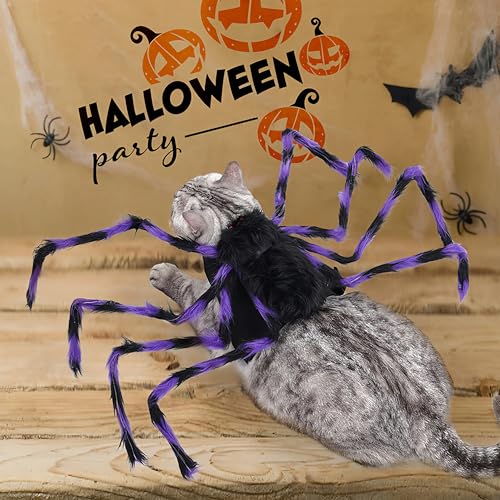 Halloween Spider Pet Costume for Cats & Dogs, Adjustable Velcro Harness, Black & Purple, Medium V62211