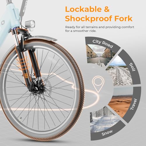 Electric Bike for Adults with 750W Motor and Removable Battery J82820