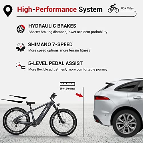 Electric Bike 750W Motor 48V 20Ah Removable Battery 80 Miles Range for Adults J446