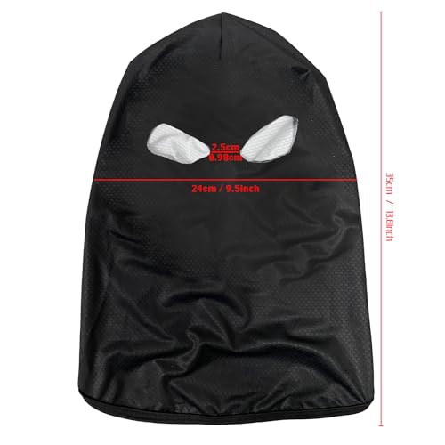 Balaclava Face Mask 2 Hole Full Mask Motorcycle Cycling Q811
