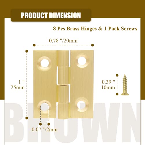 Brass Hinges M727