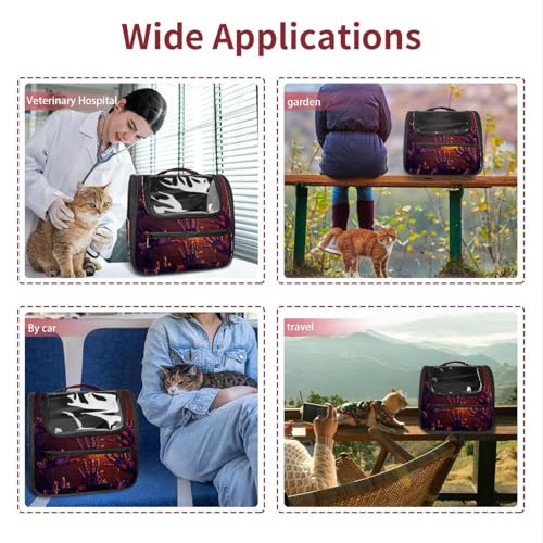 Halloween Pet Carrier Airline Approved for Small Medium Dogs Cats S688252