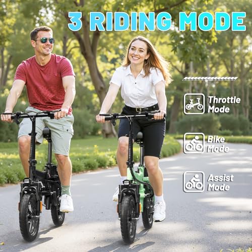 Folding Electric Bike for Adults, 500W Motor, 48V 10Ah Removable Battery O63860