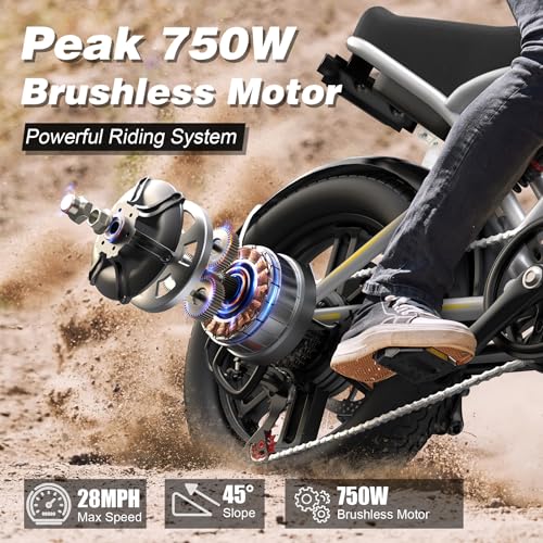 Electric Bike 750W for Adults, 65+ Miles Range, 25 MPH, Full Suspension G94813