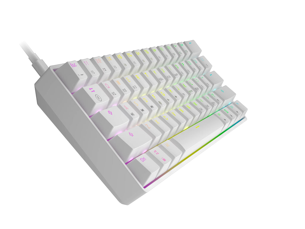 61 Keys RGB Backlit Mechanical Gaming Keyboard for PC/Mac T6639