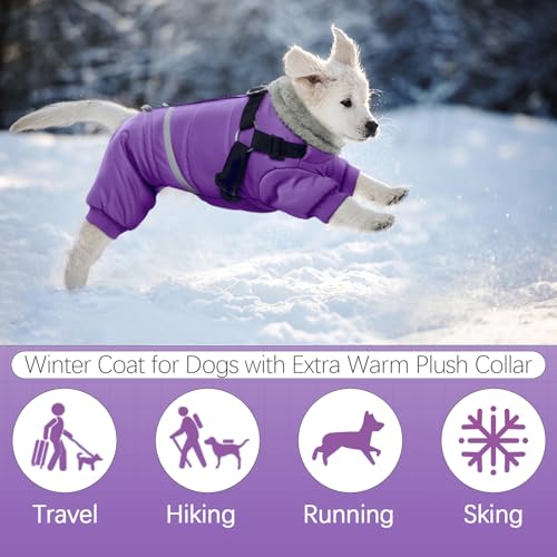 Black Dog Winter Coat with Harness, Reflective Waterproof Jacket for Small Dogs O43201