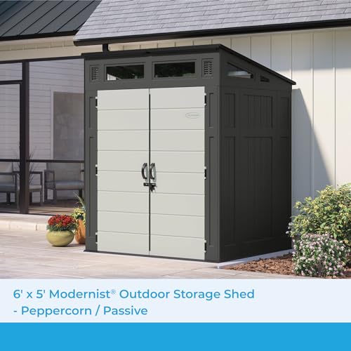 6' x 5' Modernist Storage Shed for Yard, All-Weather Outdoor Storage with 2 Lockable Doors and Windows D273