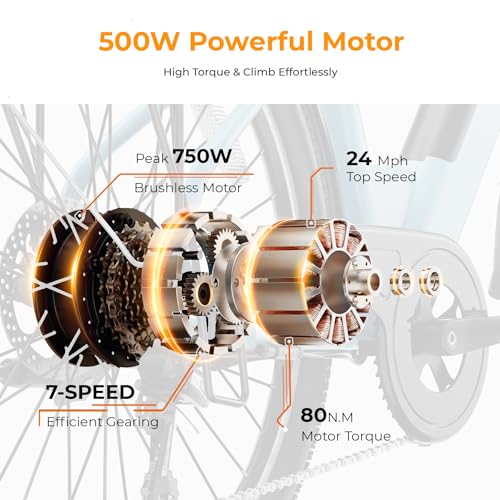 Electric Bike for Adults with 750W Motor and Removable Battery J82820