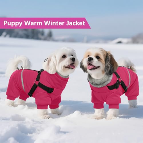 Black Dog Winter Coat with Harness, Reflective Waterproof Jacket for Small Dogs O43201