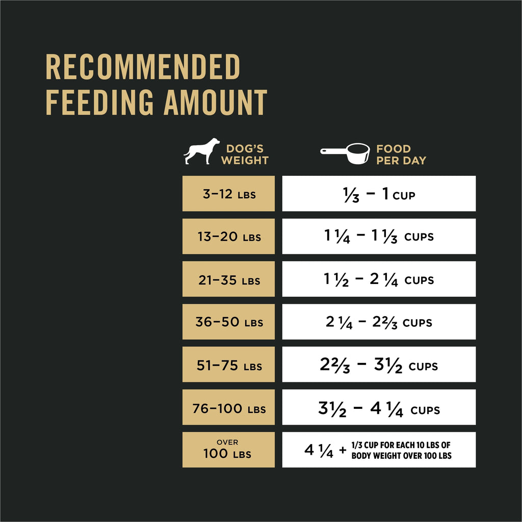 Shredded Turkey & Rice High Protein Dog Food with Probiotics, 33 lb. Bag W5995