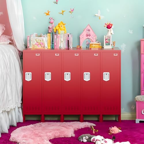 Metal Cabinet with Lockable Door for Office, Gym, School, Home A290