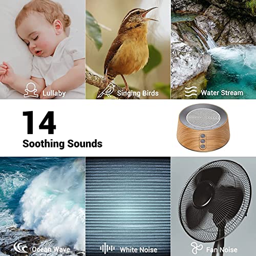 White Noise Sound Machine with 14 Soothing Sounds and Night Light for Sleeping K2083