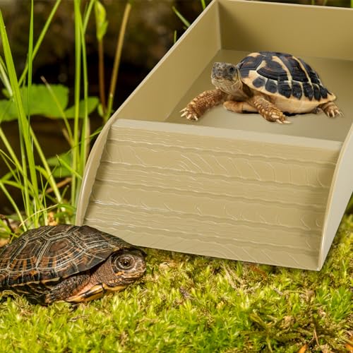 Reptile Water Bowl with Ramp and Basking Platform for Turtles, Lizards H549986