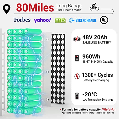 Electric Bike 750W Motor 48V 20Ah Removable Battery 80 Miles Range for Adults J446