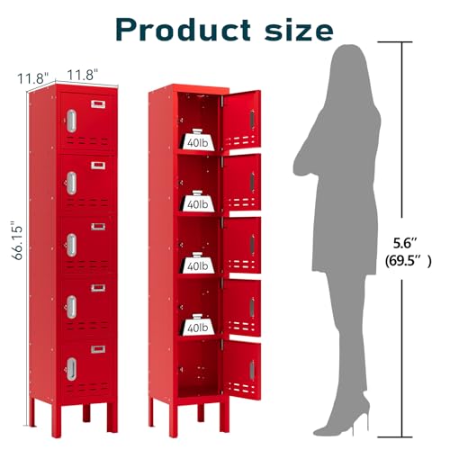 Metal Cabinet with Lockable Door for Office, Gym, School, Home A290